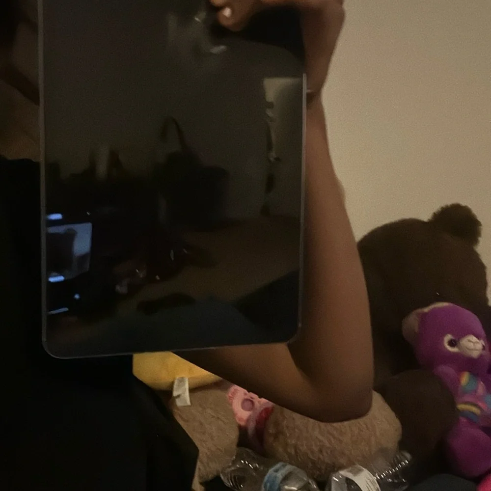 Apple iPad - Sleek Silver Finish